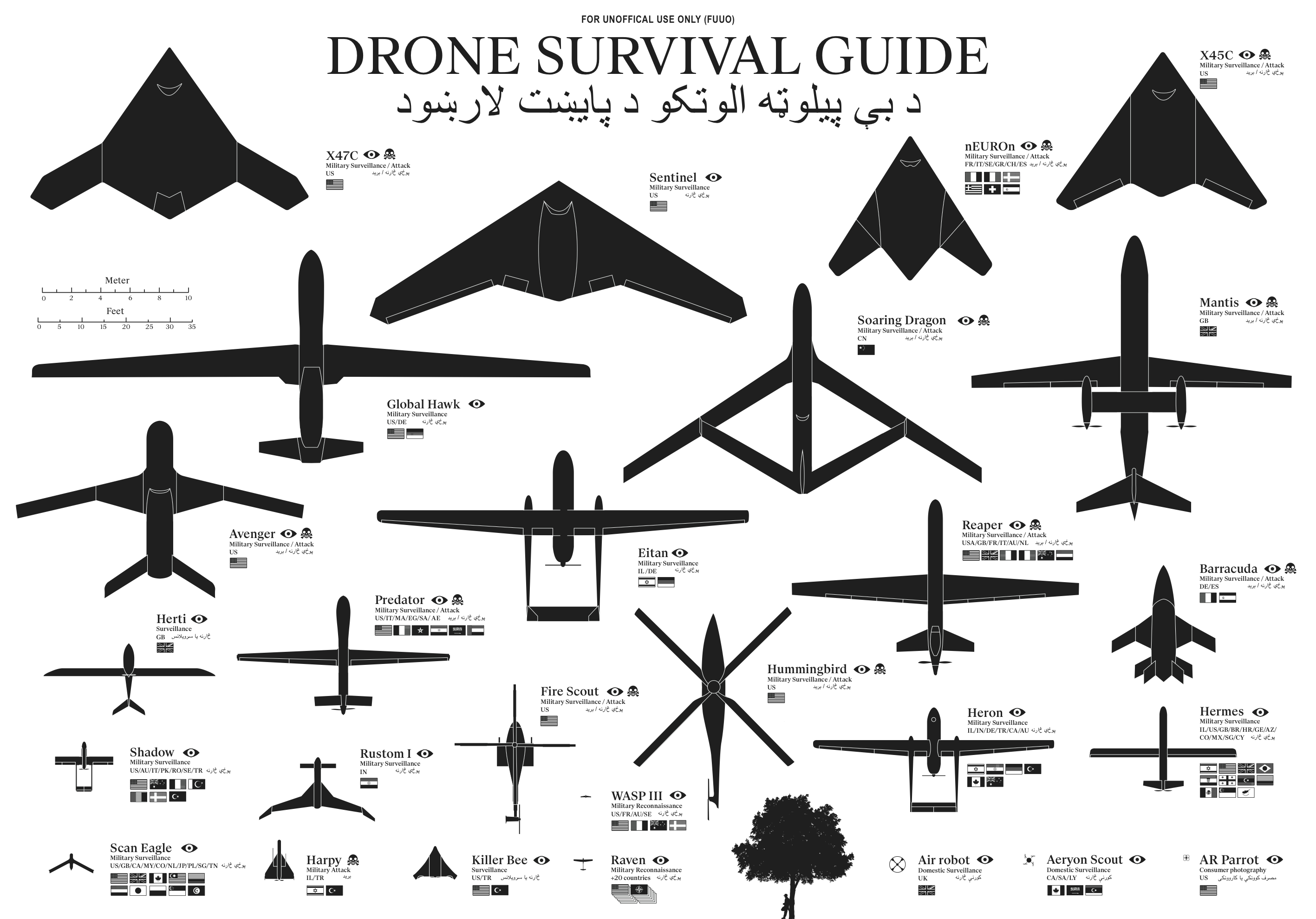 Drone Survival Guide infographic poster
